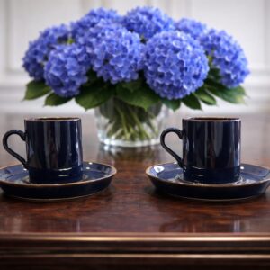 rasha collection 2li lacivert İnce porselen fincan takımı